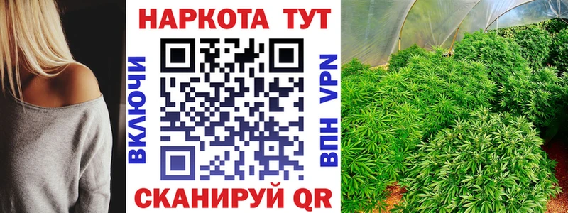 Купить наркоту Вышний Волочёк Псилоцибиновые грибы  СК  ГАШ  Кокаин  Амфетамин 
