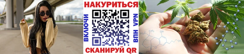 Канабис OG Kush  Вышний Волочёк 